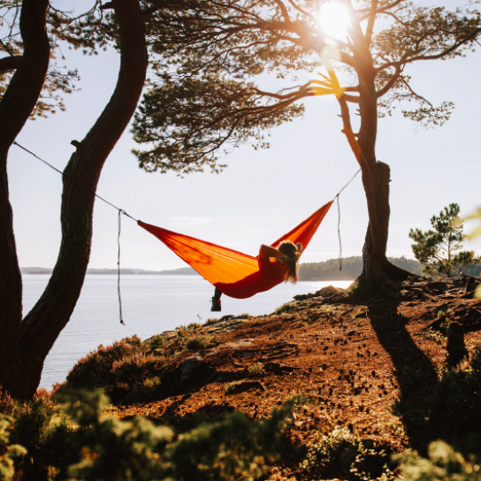 Resource Hero Image - Recharging your workforce